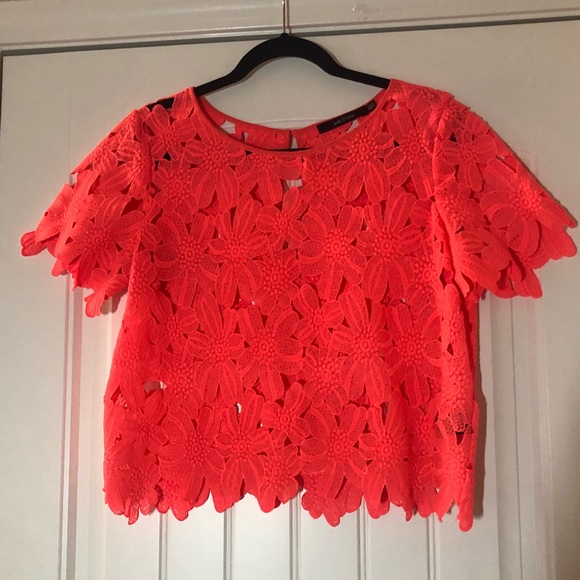 Ark & Co. Cropped T - Picture 2 of 3